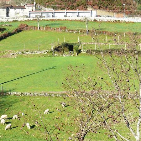 Campo Seco Villa Vieira do Minho Exterior foto